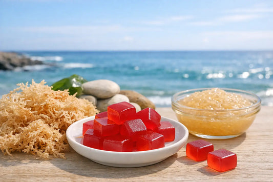 Best Sea Moss Gummies for Adults